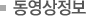 동영상정보