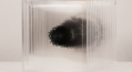 <그림자의 방>(옥세영, 2023)