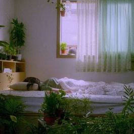 식물 (이명륜, 2024) | 비평 윤필립