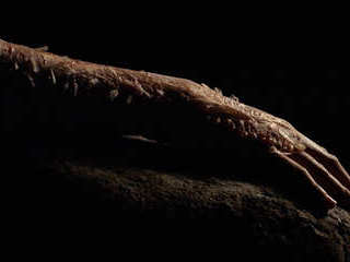 /thum_img/nemafb/MediA2025/fe05eede840f78064f5fa1b05b3dee3f_water__c1_w320_h240.jpg