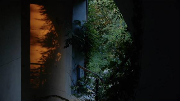 발췌된 풍경 Excerpt from Scenery 