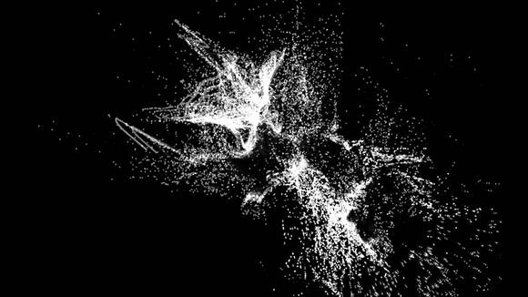 백조의 노래 Swan Song