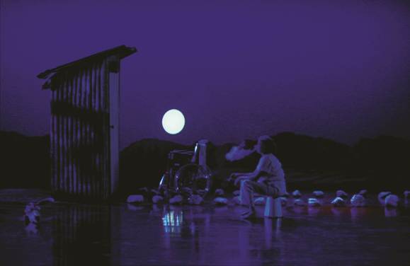 어둠 속의 비명: 전원의 비극 Night Cries: A Rural Tragedy