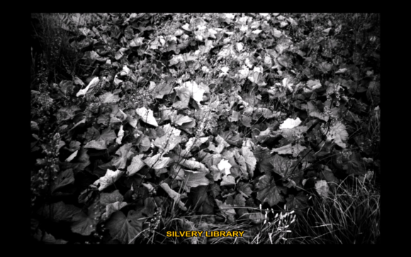 쉽게 쓰인 자막 혹은 사랑 시 Subtitles or a Love Poem in Plain Language