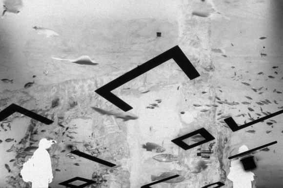 궤적(櫃迹) - 목하, 세계진문(目下, 世界珍門)  The Trace of the Box - Now, Curiosity About the World