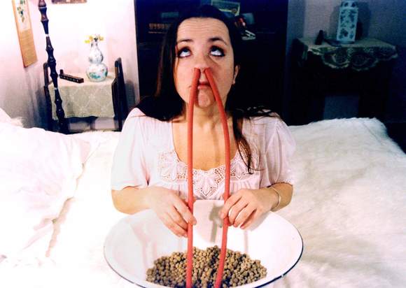 쾌락의 공범자들  Conspirators of Pleasure