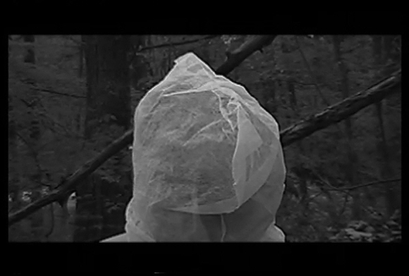 저주의 몫 The curse of the shares